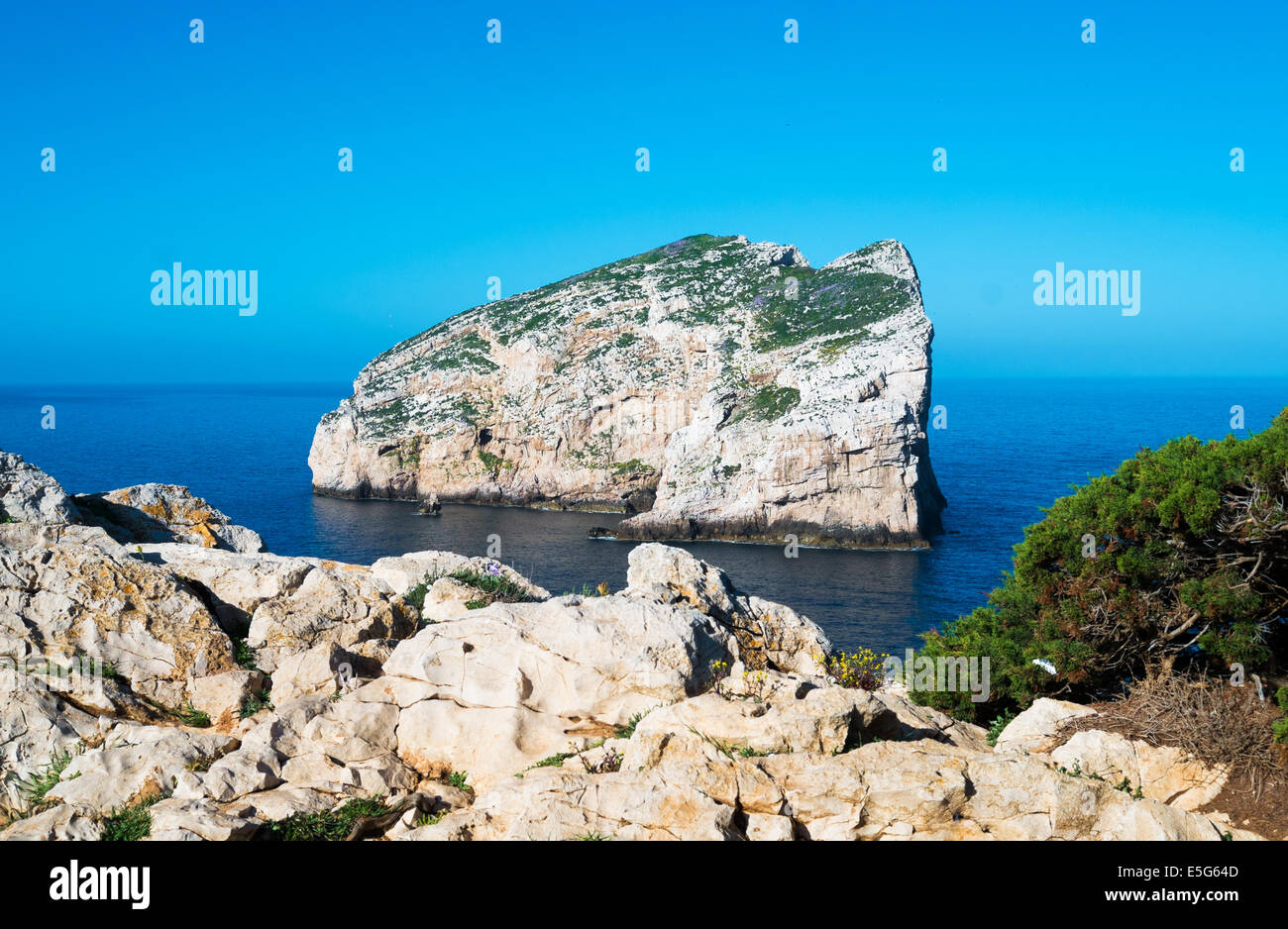 Isola Foradada a Capo Caccia scogliera vicino ad Alghero, Sardegna, Italia Foto Stock