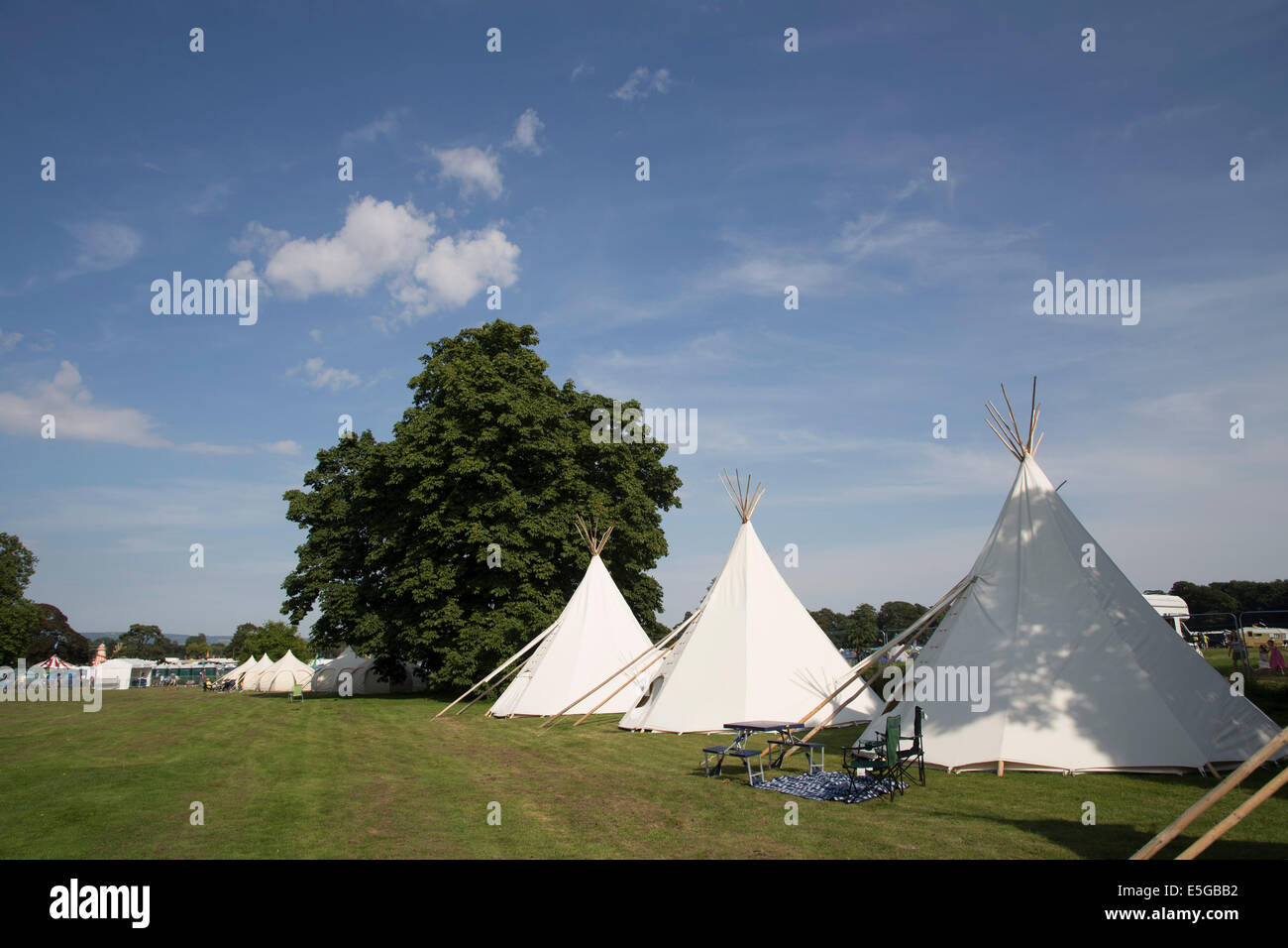 Tipi di campo camping, campeggio, a Deer capannone festival. In Glamping teepees. Foto Stock