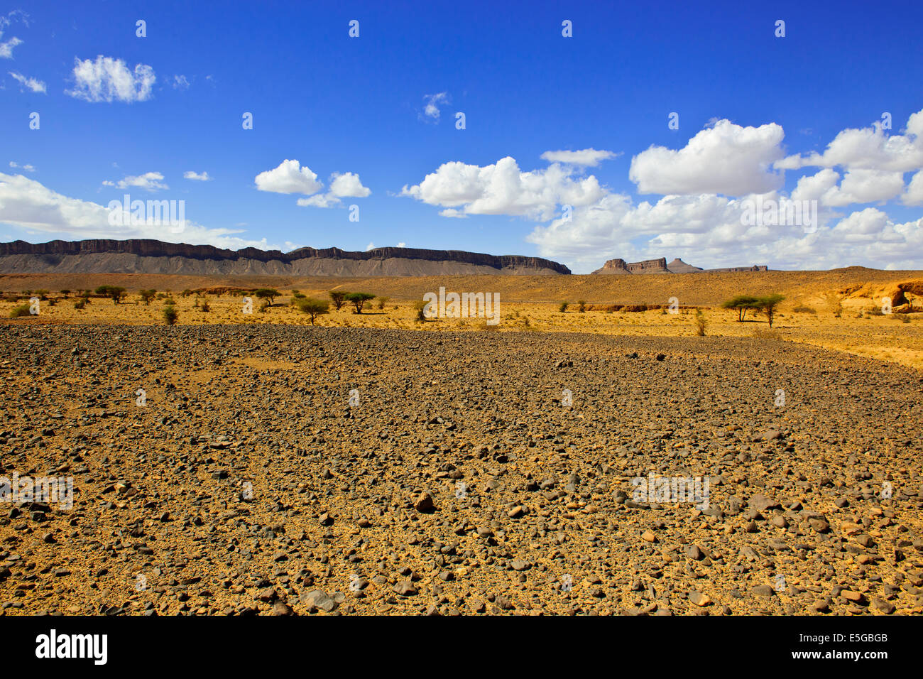 Ch'Gagga deserto 5 ora di auto Amerzgane,4 ruote motrici attraverso Dry Lake Iriki letto matrimoniale,una volta un gigantesco lago,Sahara,Sud Marocco Foto Stock