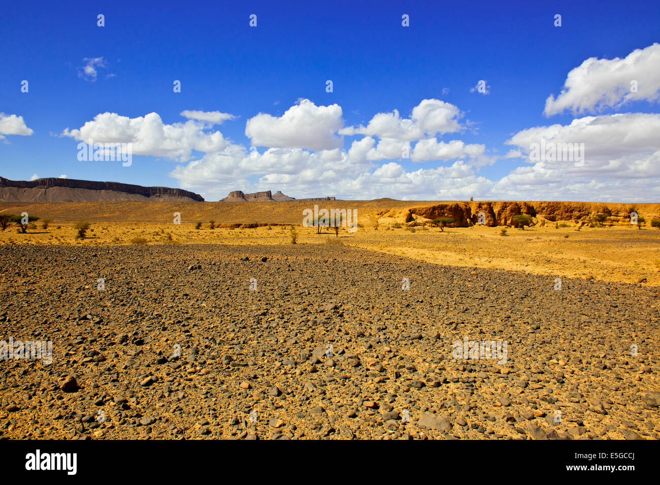 Ch'Gagga deserto 5 ora di auto Amerzgane,4 ruote motrici attraverso Dry Lake Iriki letto matrimoniale,una volta un gigantesco lago,Sahara,Sud Marocco Foto Stock