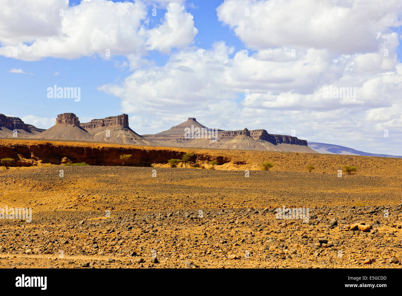 Ch'Gagga deserto 5 ora di auto Amerzgane,4 ruote motrici attraverso Dry Lake Iriki letto matrimoniale,una volta un gigantesco lago,Sahara,Sud Marocco Foto Stock