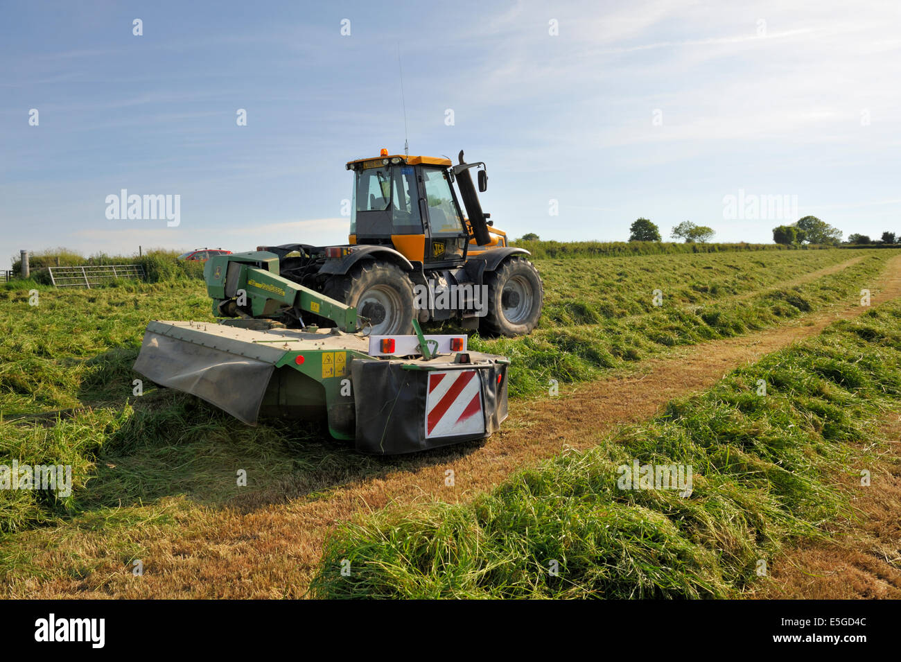 Campo agricolo con fieno con rack per agevolare l'asciugatura con il trattore equipaggiato con 'fieno bob' vicino Cardigan Foto Stock