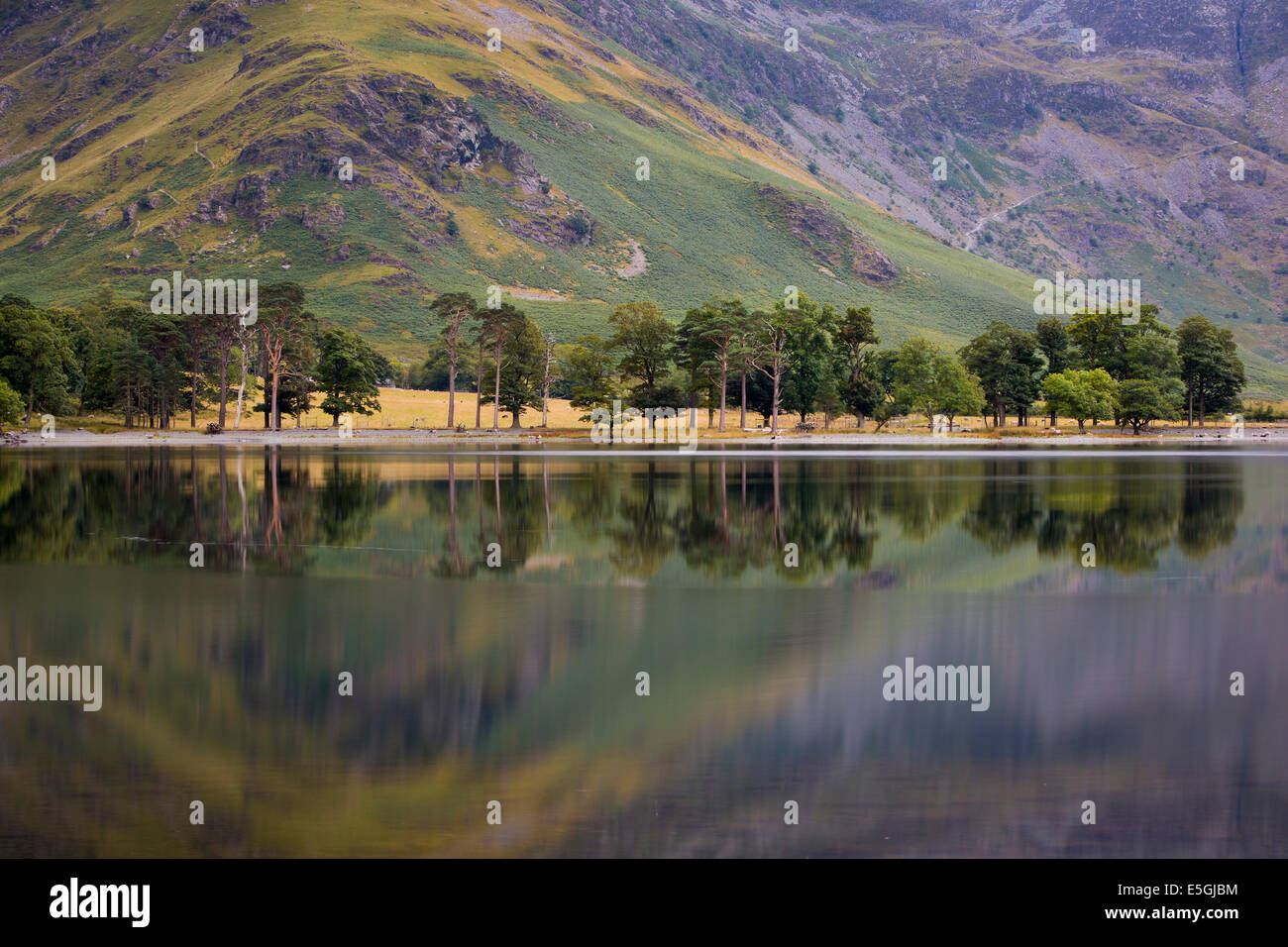 Pre-alba riflessioni sul lago Buttermere, Cumbria, Lake District, Inghilterra Foto Stock