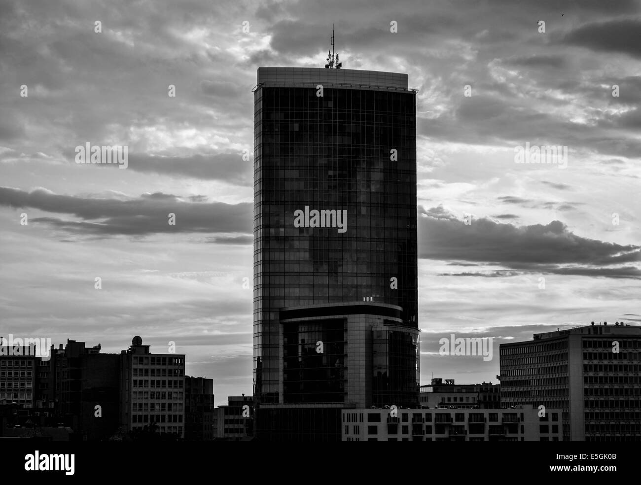 Giungla di cemento Foto Stock