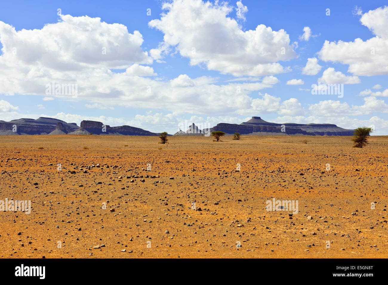 Ch'Gagga deserto 5 ora di auto Amerzgane,4 ruote motrici attraverso Dry Lake Iriki letto matrimoniale,una volta un gigantesco lago,Sahara,Sud Marocco Foto Stock