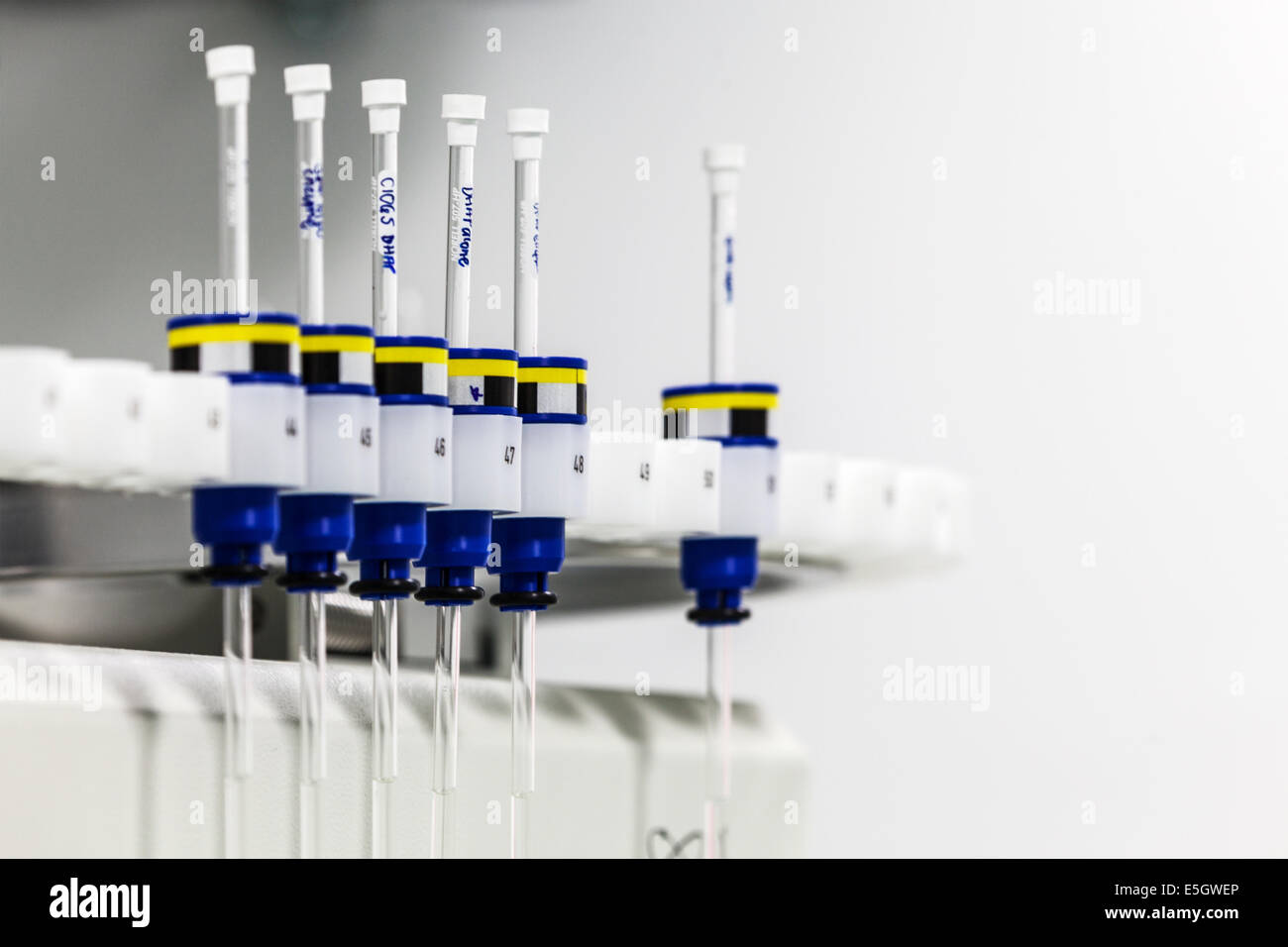 Un campione NMR nel caricatore di una ricerca scientifica di laboratorio. Foto Stock