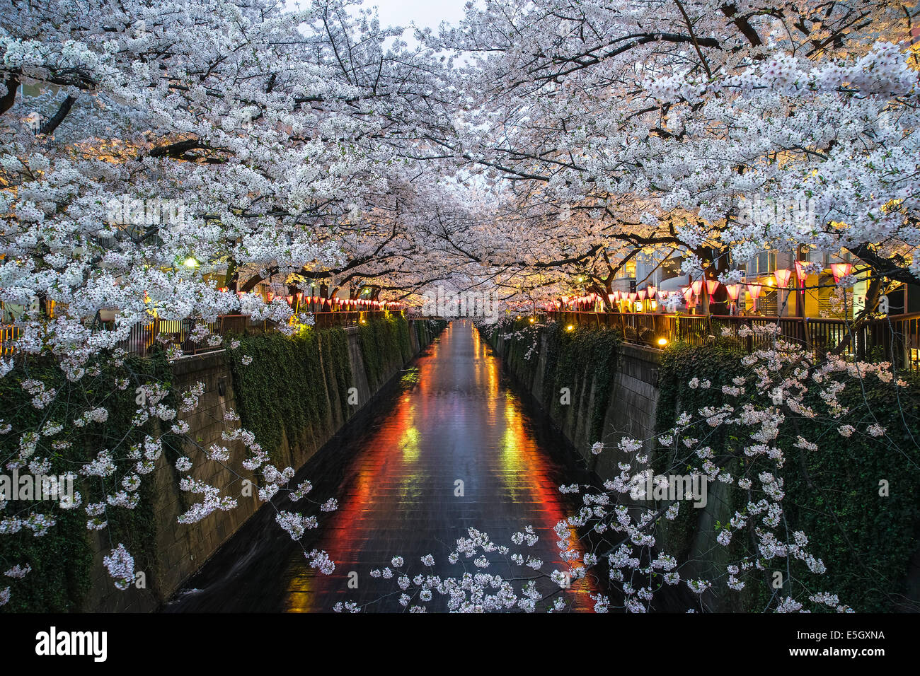 Megurogawa al crepuscolo, Tokyo, Giappone. Foto Stock