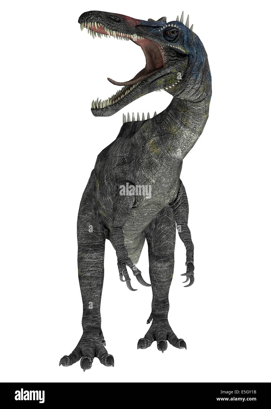 3D render digitale di un suchomimus tenerensis isolati su sfondo bianco Foto Stock