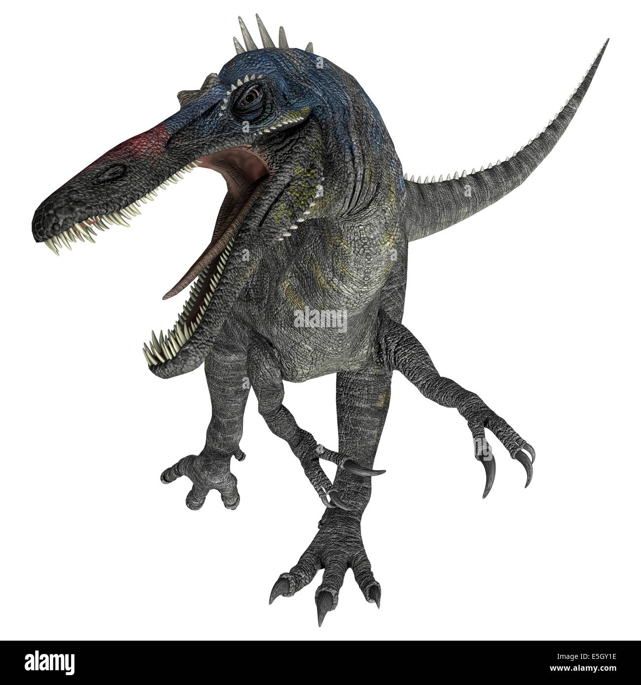 3D render digitale di un suchomimus tenerensis isolati su sfondo bianco Foto Stock