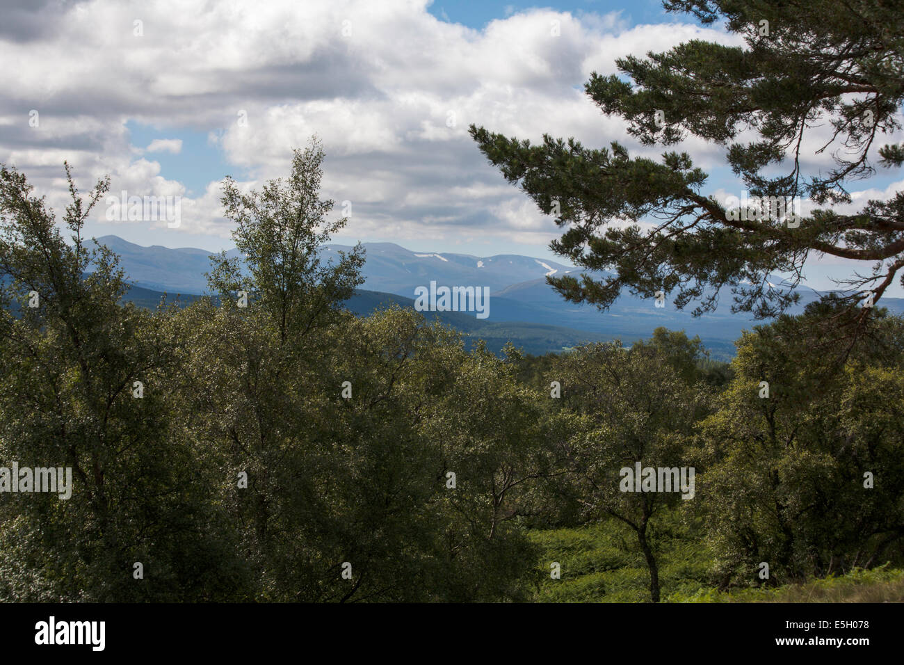 I Monti Cairngorm visto da un punto di vista al di sopra di Grantown-on-Spey vicino a Aviemore Scozia Speyside Foto Stock