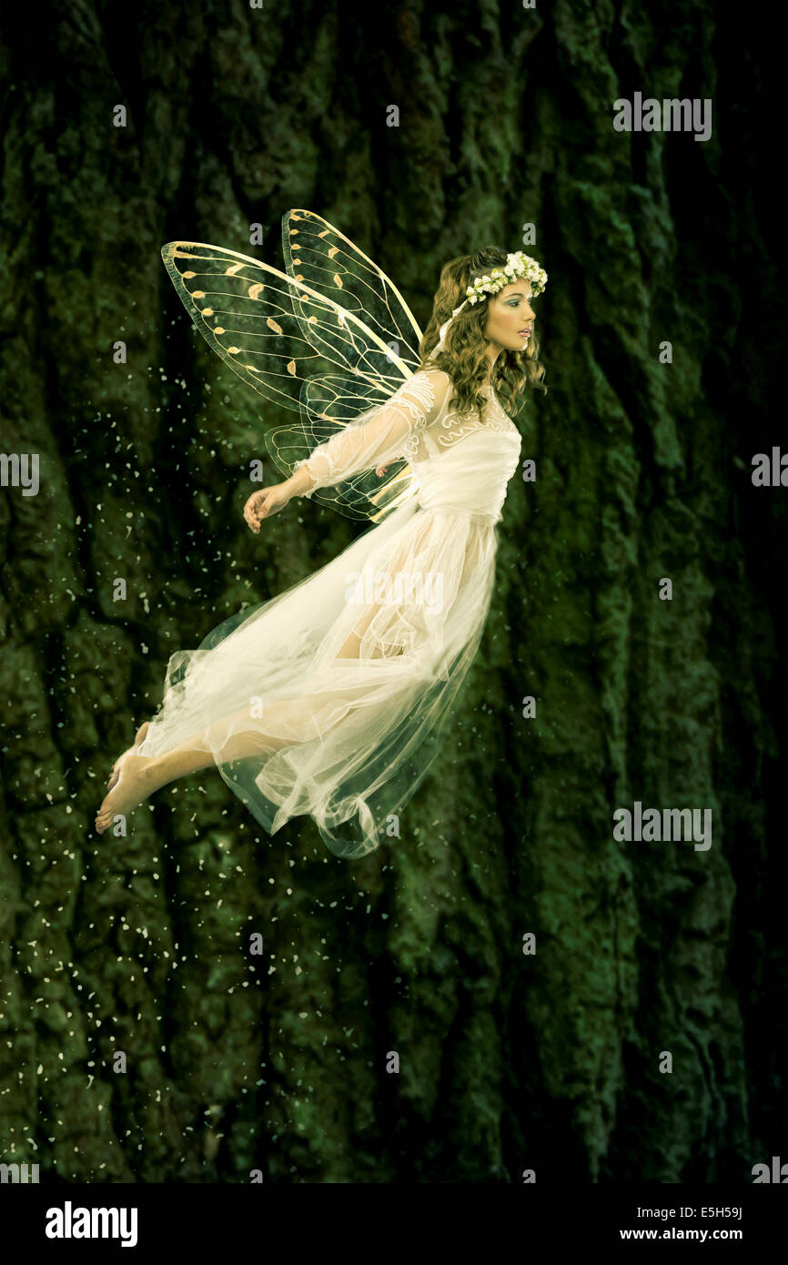 Bella foresta fata in volo Foto Stock
