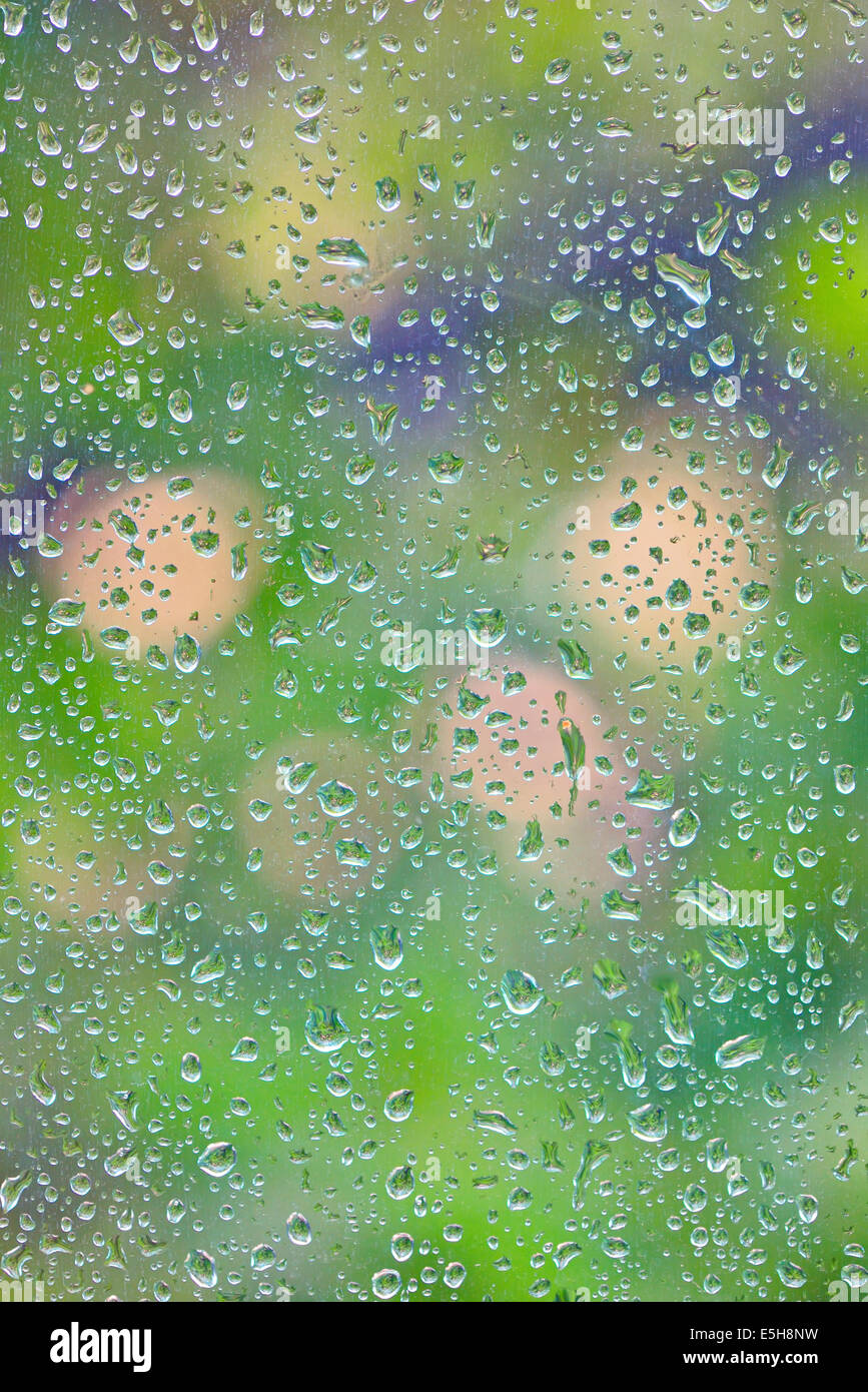 Macro con gocce di pioggia su una finestra Foto Stock