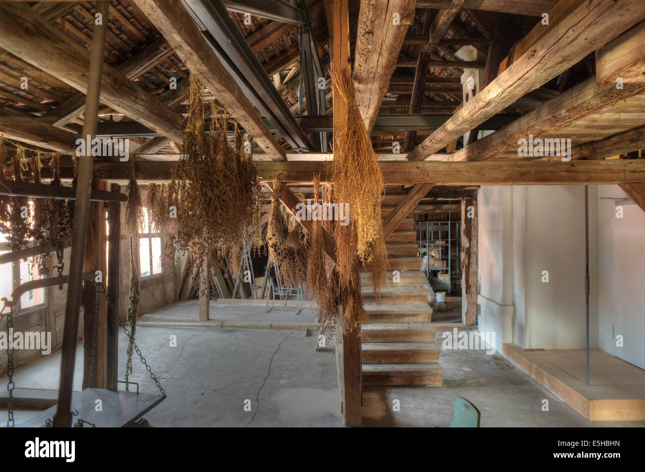 Erbe aromatiche il pavimento di una vecchia farmacia, secolo XIX, Fränkisches Freilandmuseum Bad Windsheim open-air museum, Bad Windsheim Foto Stock