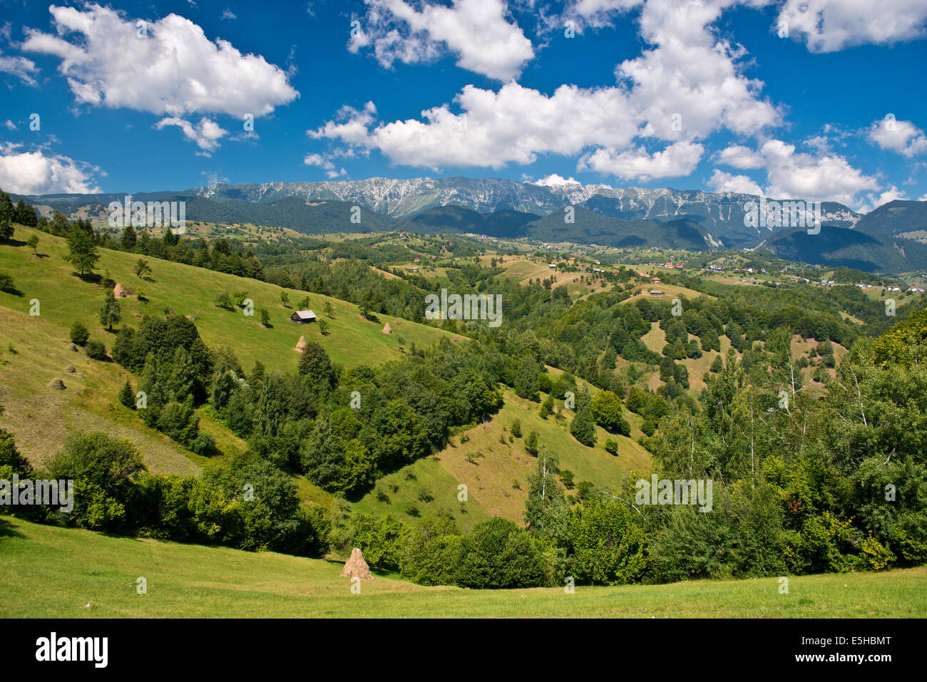 Paesaggio di montagna con prati nella parte anteriore dei monti Carpazi, Romania Foto Stock