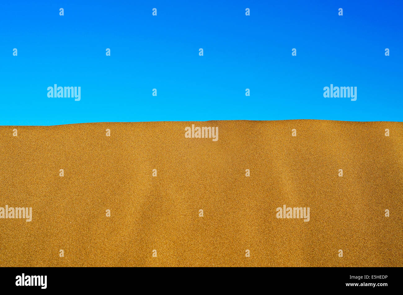 Vista della cresta di una duna di sabbia contro il cielo blu Foto Stock