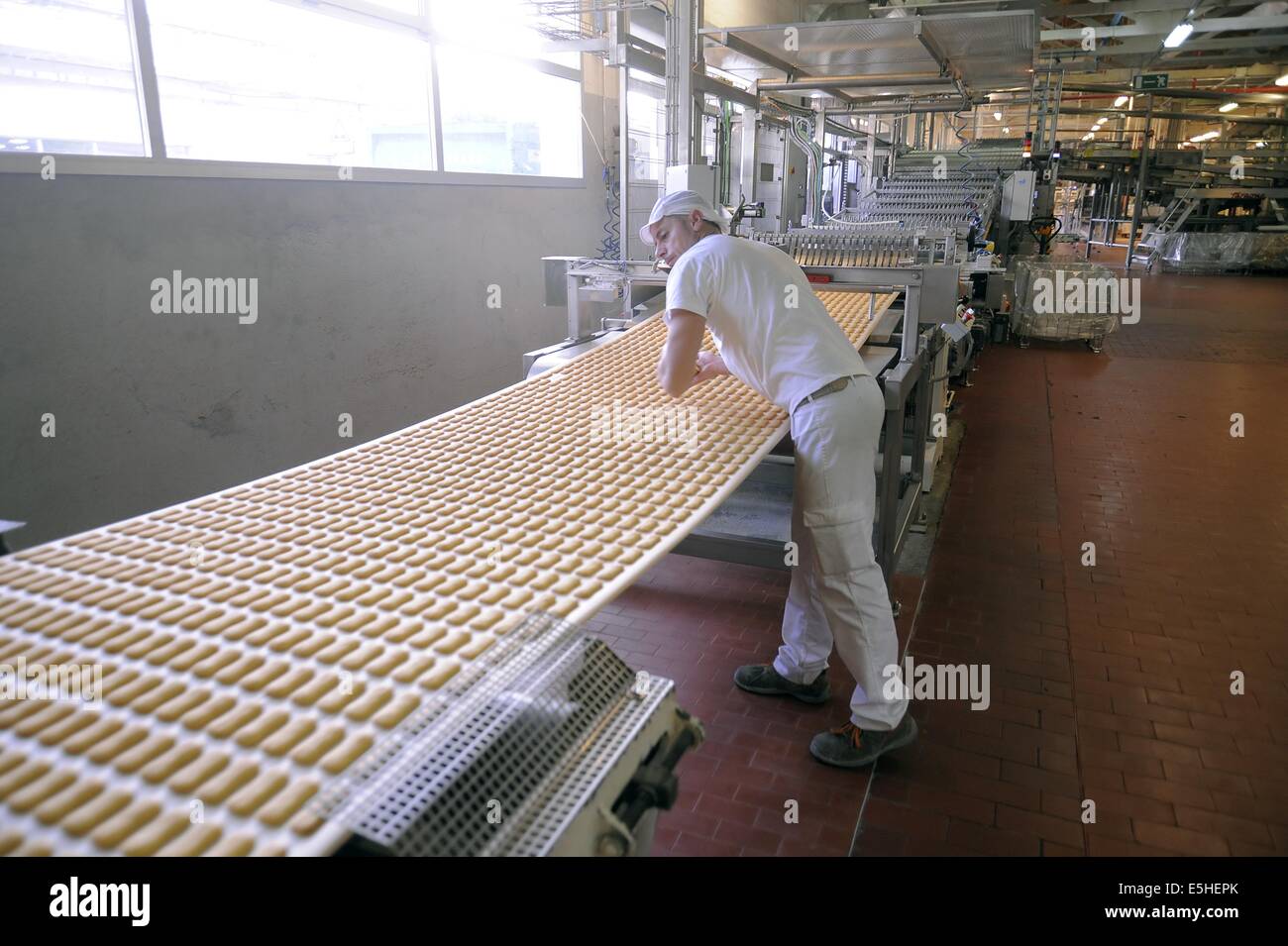 Novara (Italia), Pavesi impianto (Gruppo Barilla), la linea di produzione di biscotti Foto Stock
