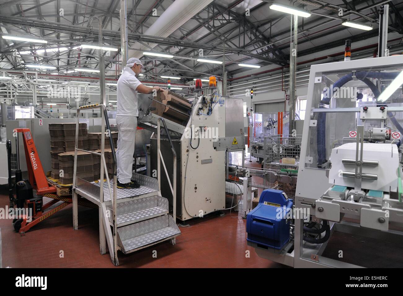 Novara (Italia), Pavesi impianto (Gruppo Barilla), la linea di produzione di cracker, reparto confezionamento Foto Stock