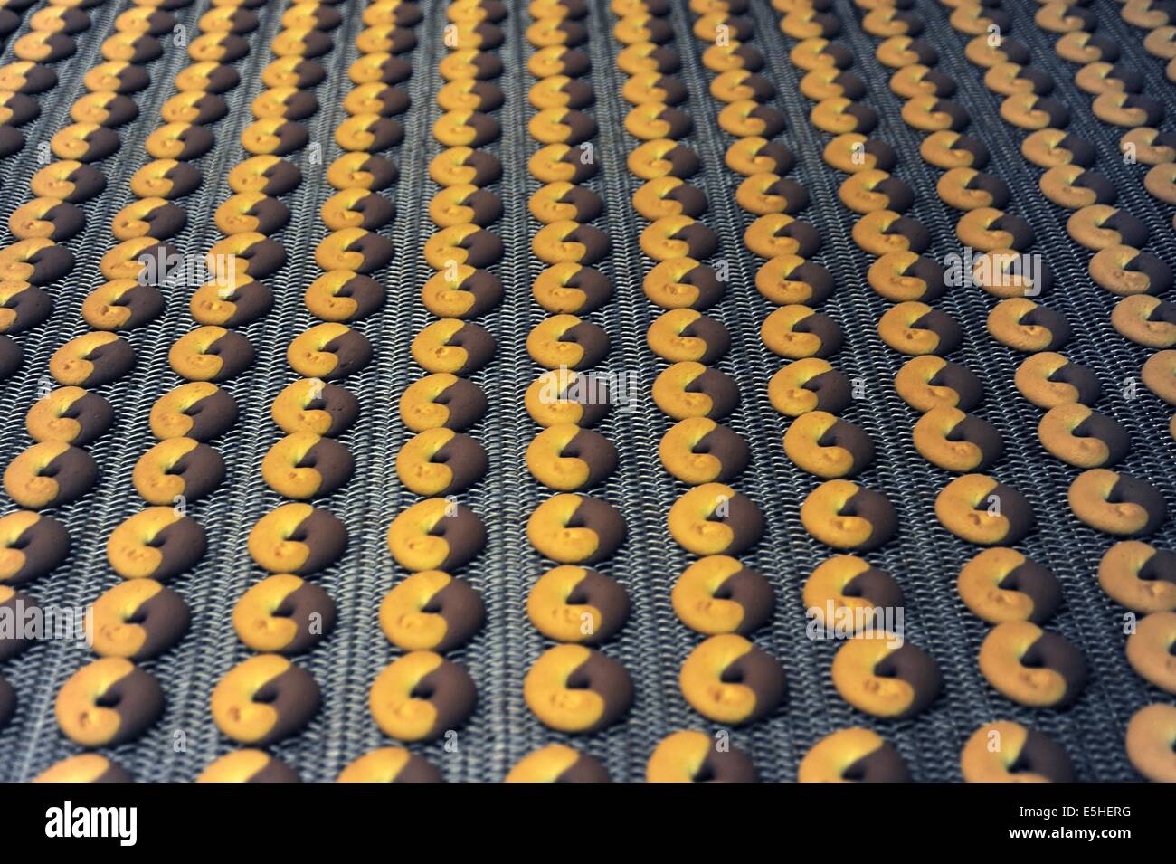 Novara (Italia), Pavesi impianto (Gruppo Barilla), la linea di produzione di biscotti Foto Stock