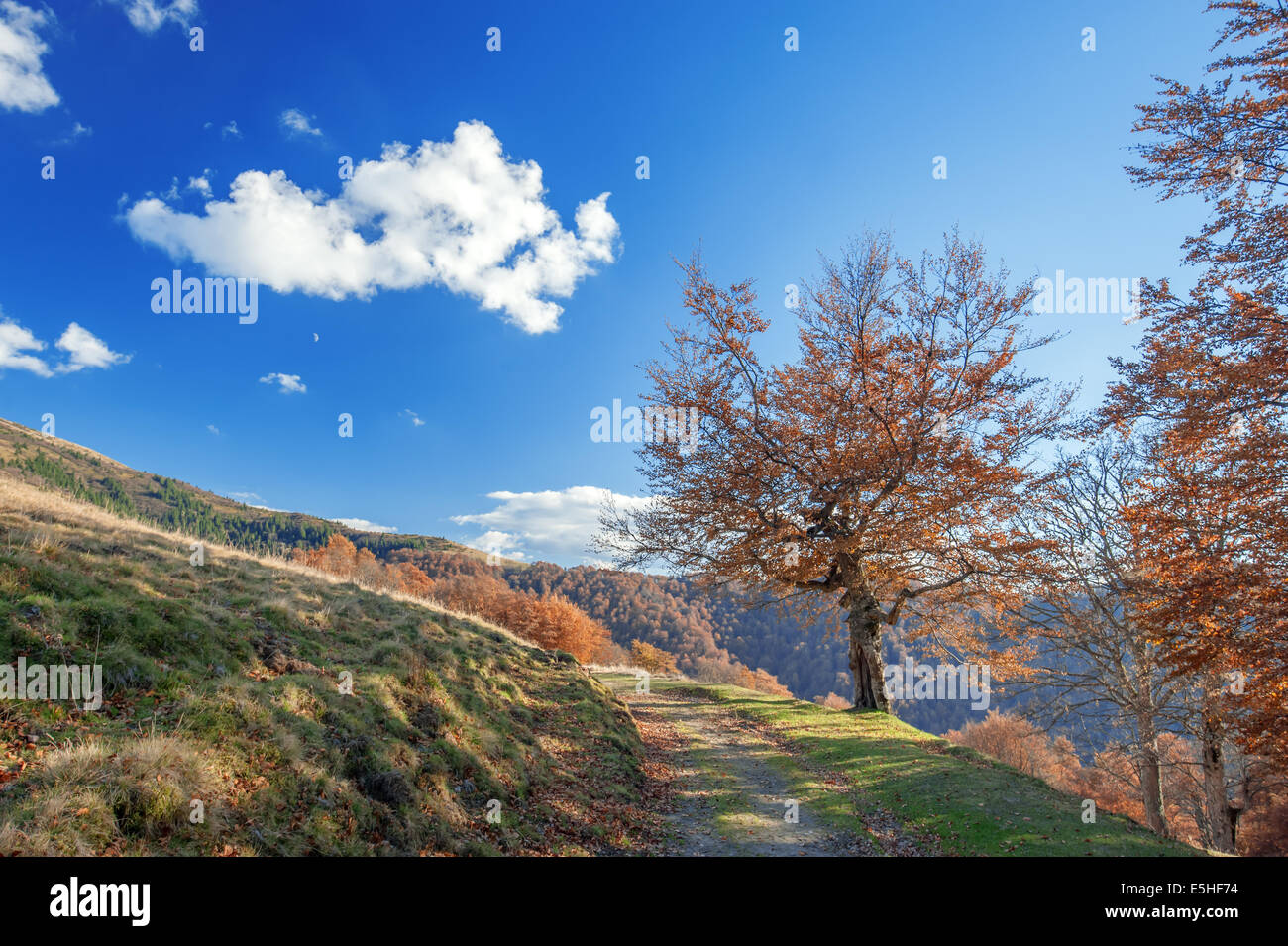 Solo struttura di giallo e blu cielo Foto Stock