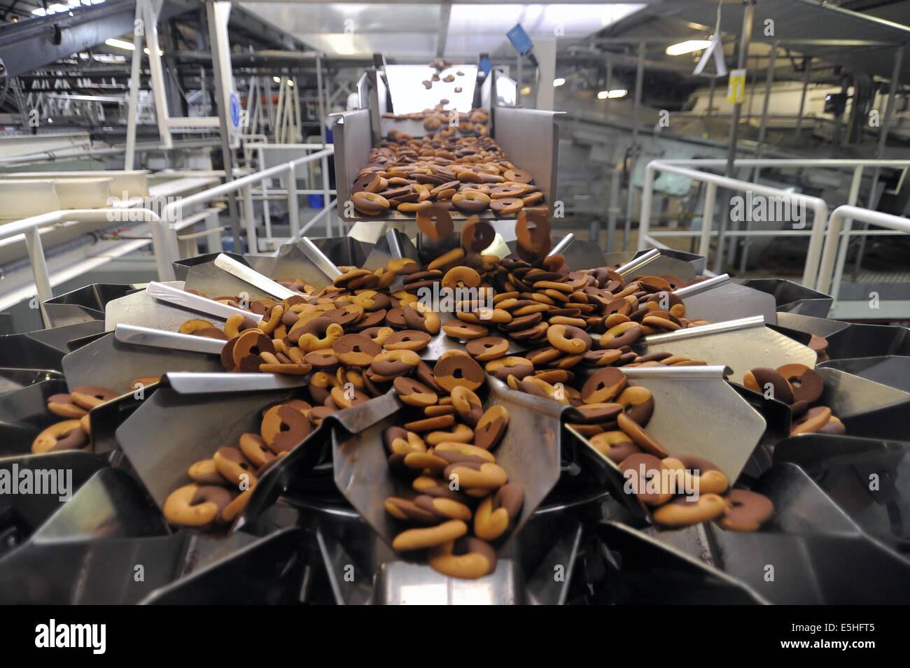 Novara (Italia), Pavesi impianto (Gruppo Barilla), la linea di produzione di biscotti Foto Stock