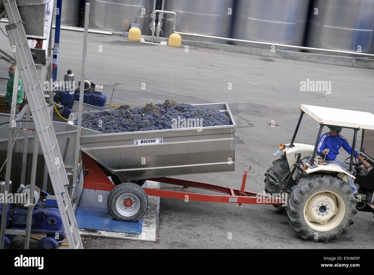 L'Italia, Cantina cooperativa di Vicobarone, in provincia di Piacenza Foto Stock