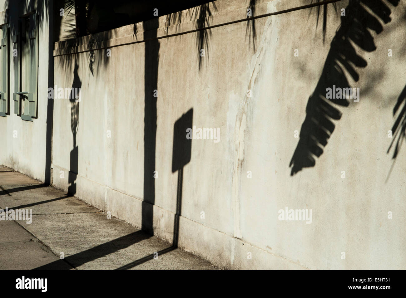 Silhouette di palma, strada segno, strada luce ombre sulla parete di ritegno Foto Stock
