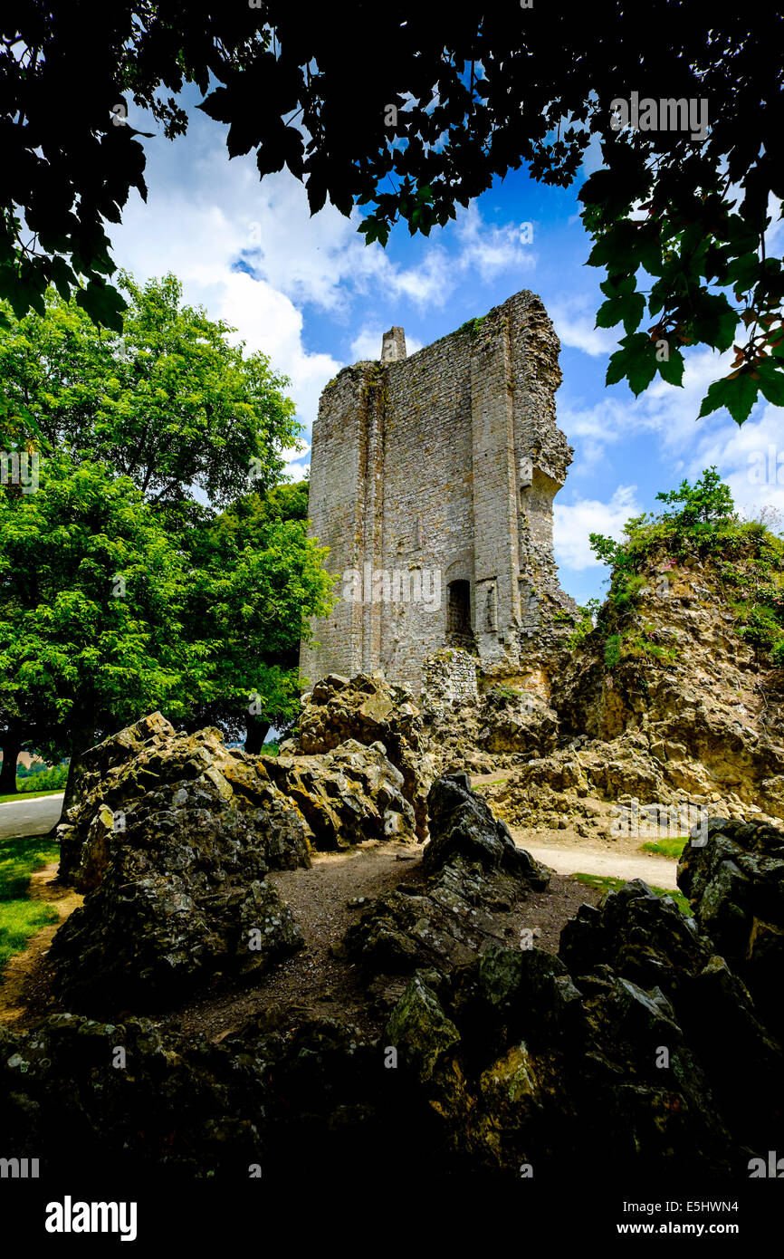 Il mantenere in rovina del vecchio castello a Domfront, Normandia, Francia Foto Stock