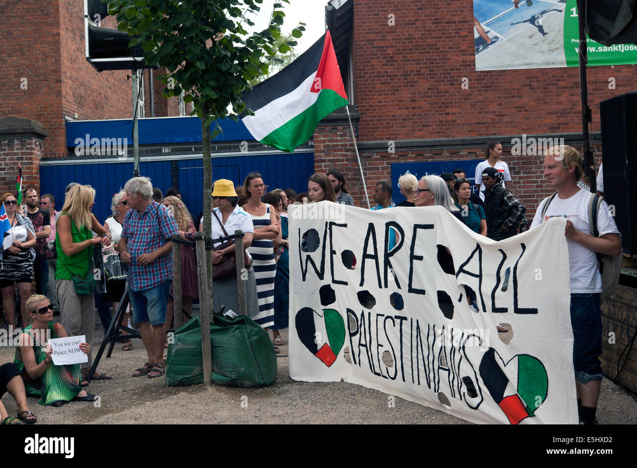 Copenhagen, Danimarca. 31 Luglio, 2014. Circa quattrocento persone dimostra di fronte all'ambasciata degli Stati Uniti a Copenhagen, protestando contro il sostegno americano a Israele e la guerra di Gaza. In seguito la dimostrazione spostato i pochi chilometri all'ambasciata Israeliana in Copenhagen. La dimostrazione è stata organizzata da privati tramite Facebook in 4 giorni. Sulla foto il segno di grandi dimensioni (foto a destra) membri: "Siamo tutti palestinesi". Credito: OJPHOTOS/Alamy Live News Foto Stock