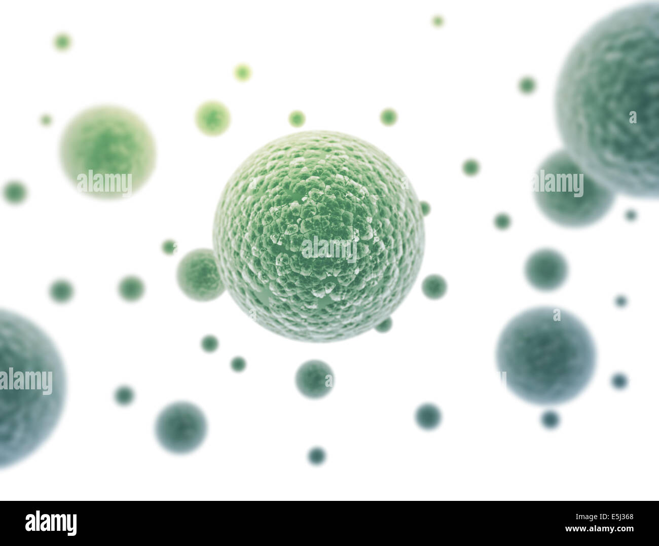 Cellule di batteri isolati su sfondo bianco Foto Stock