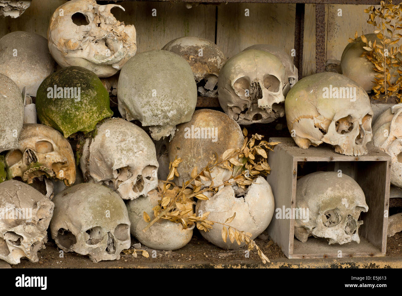 All'interno dell'ossario di Marville, Francia, con migliaia di teschi antico del XIX secolo e i vecchi Foto Stock