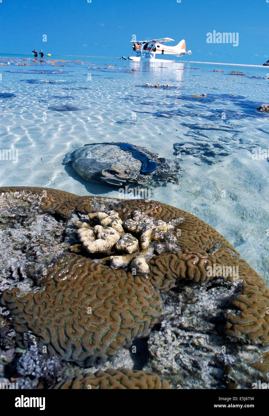 Mare Chrtered piano e turisti sulla grande barriera corallina, Queensland, Australia Foto Stock