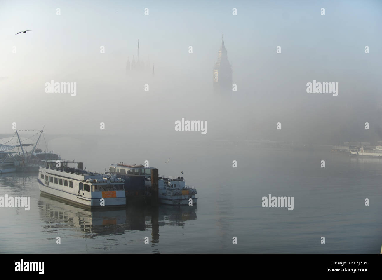 Pic mostra la House of Commons nelle prime ore del mattino la nebbia Foto Stock