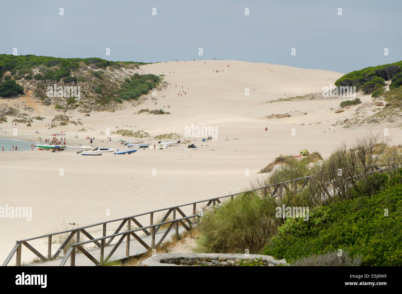 Punta Paloma, dune di sabbia sistema a Bolonia, Costa de la Luz, Cadice, Spagna. Foto Stock
