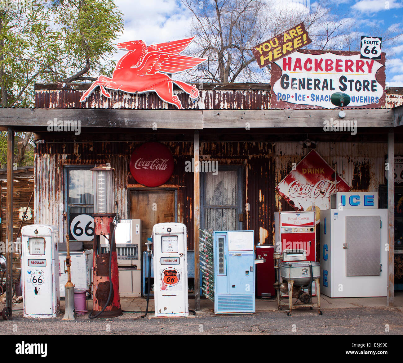 L'Hackberry General Store in Arizona è una tappa nostalgica sulla vecchia Route 66, piena di vintage americana, auto d'epoca e fascino eccentrico lungo la strada. Foto Stock