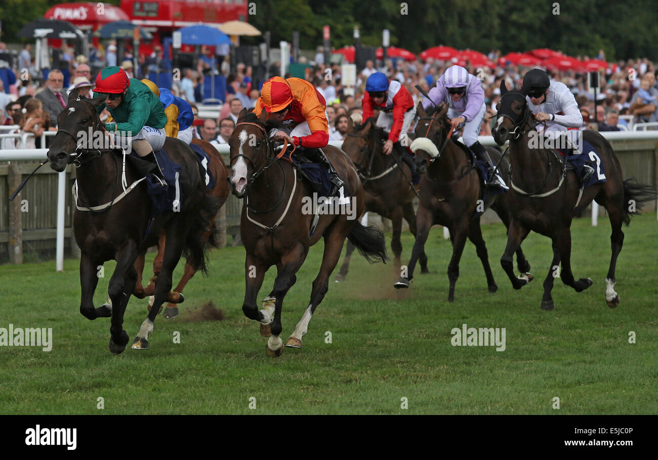 Newmarket, Regno Unito. 02Aug, 2014. Mexican Fiesta giorno. Zifena sotto Jim Crowley conquistando la Cheveley Park supporto prigioniero il morbo di Alzheimer Research UK Fillies vivaio picchetti di Handicap. Credito: Azione Sport Plus/Alamy Live News Foto Stock