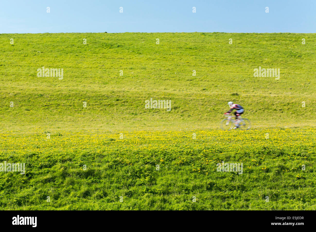 Paesi Bassi, Petten, ciclista sulla diga del mare chiamato Hondsbossche Zeewering Foto Stock