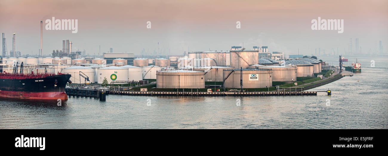 Paesi Bassi, Rotterdam, porto di Rotterdam. Il porto o porto. Stoccaggio di olio società BP Foto Stock
