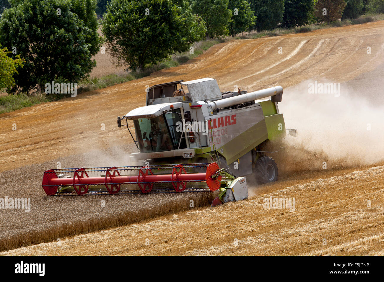 Mietitrebbia per la raccolta del grano sul campo macchine agricole della Repubblica Ceca macchine agricole produzione di colture produzione di grano agricoltura agricola Foto Stock