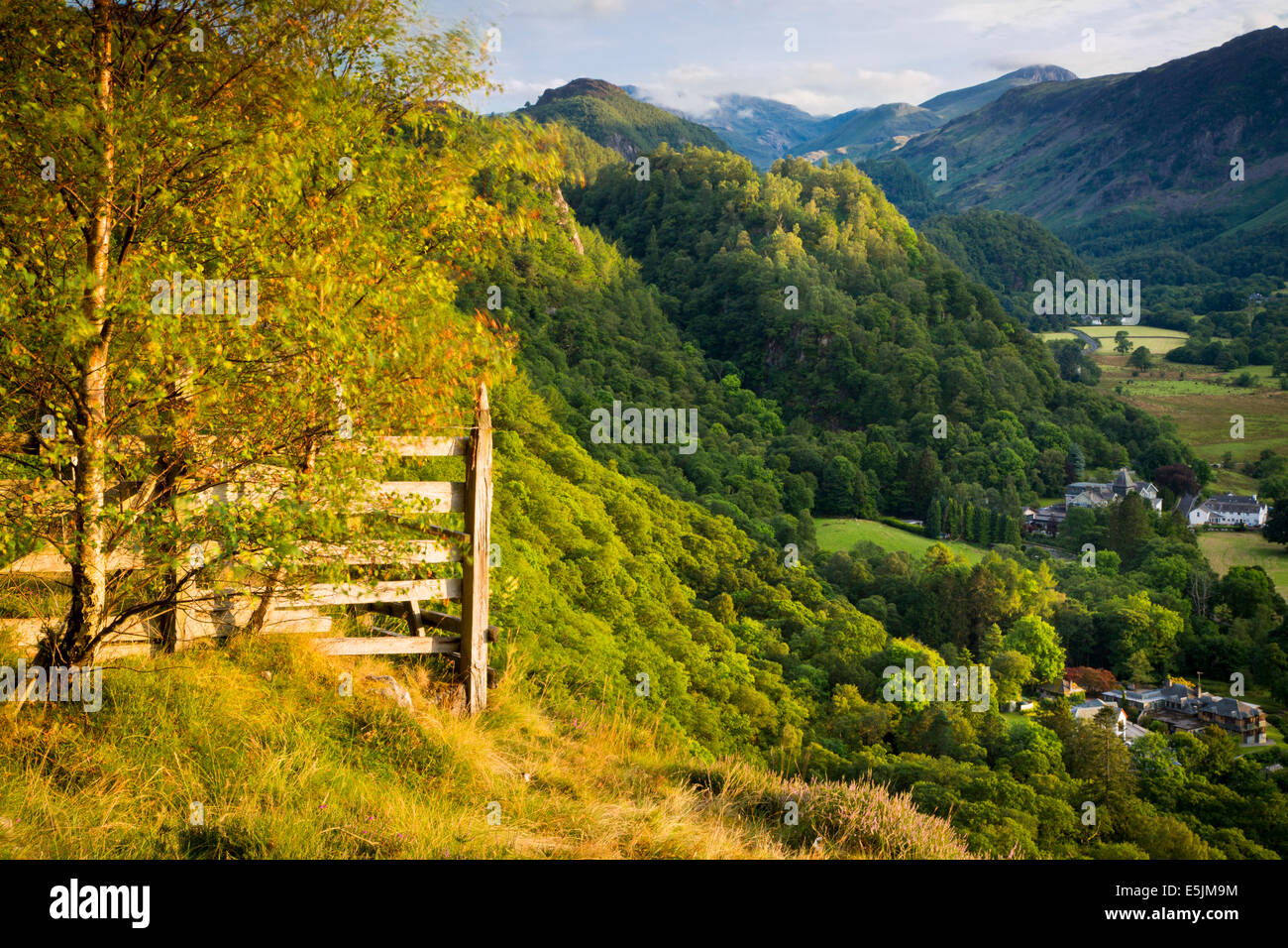 Affacciato sulla Valle di Borrowdale, Derwentwater, Lake District, Cumbria, Inghilterra Foto Stock