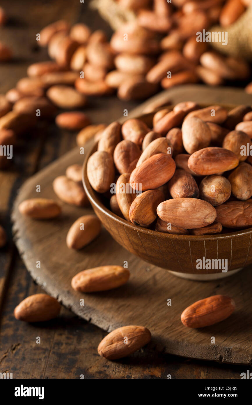 Materie organiche fave di cacao in una ciotola Foto Stock