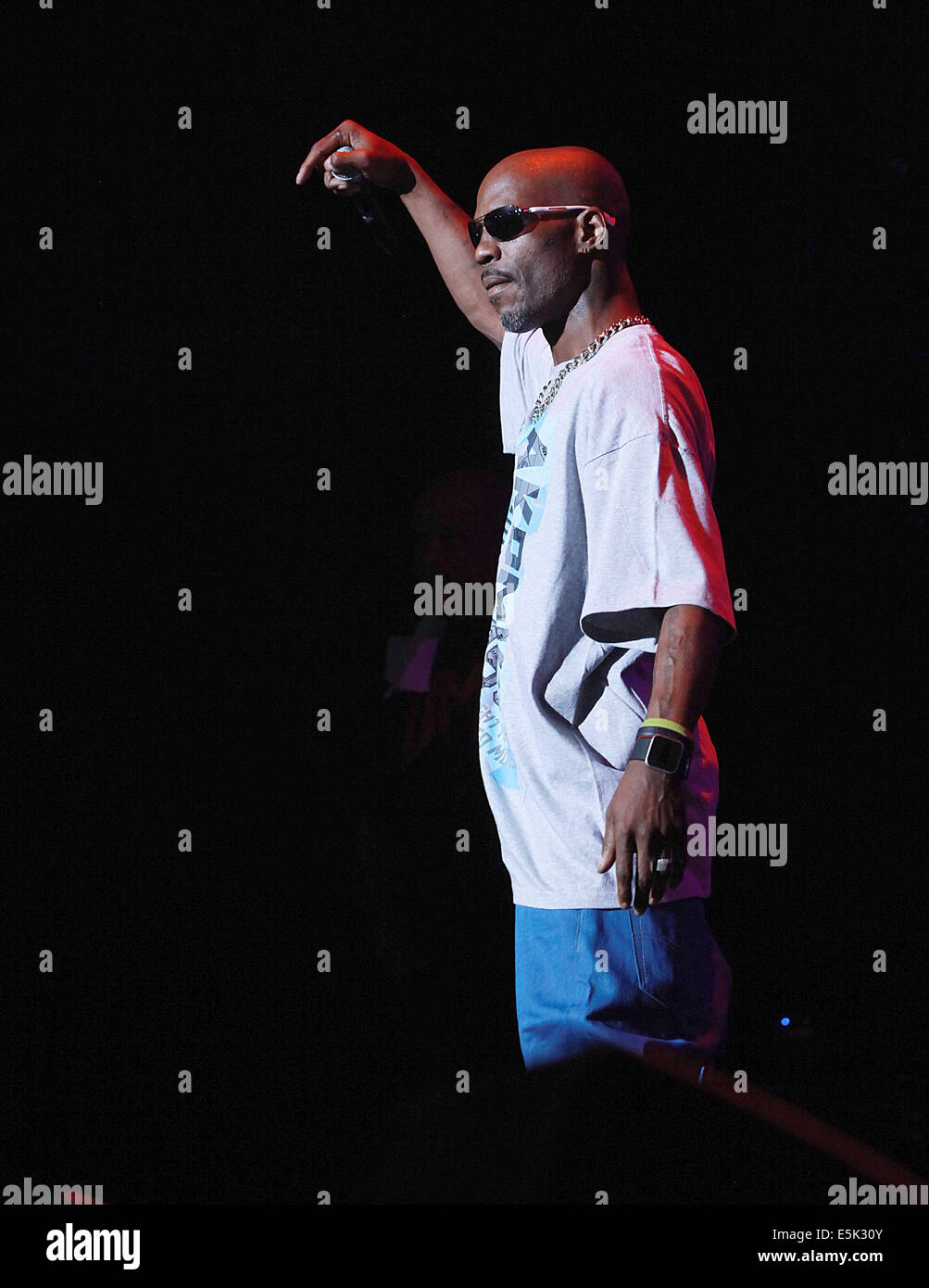 Las Vegas, Nevada, USA. 2 agosto, 2014. Il rapper DMX compie durante il ''leggende di Hip Hop Concerto'' in corrispondenza del giunto il 2 agosto 2014' all'interno dell'Hard Rock Hotel & Casino in Las Vegas Nevada Credit: Marcel Thomas/ZUMA filo/Alamy Live News Foto Stock