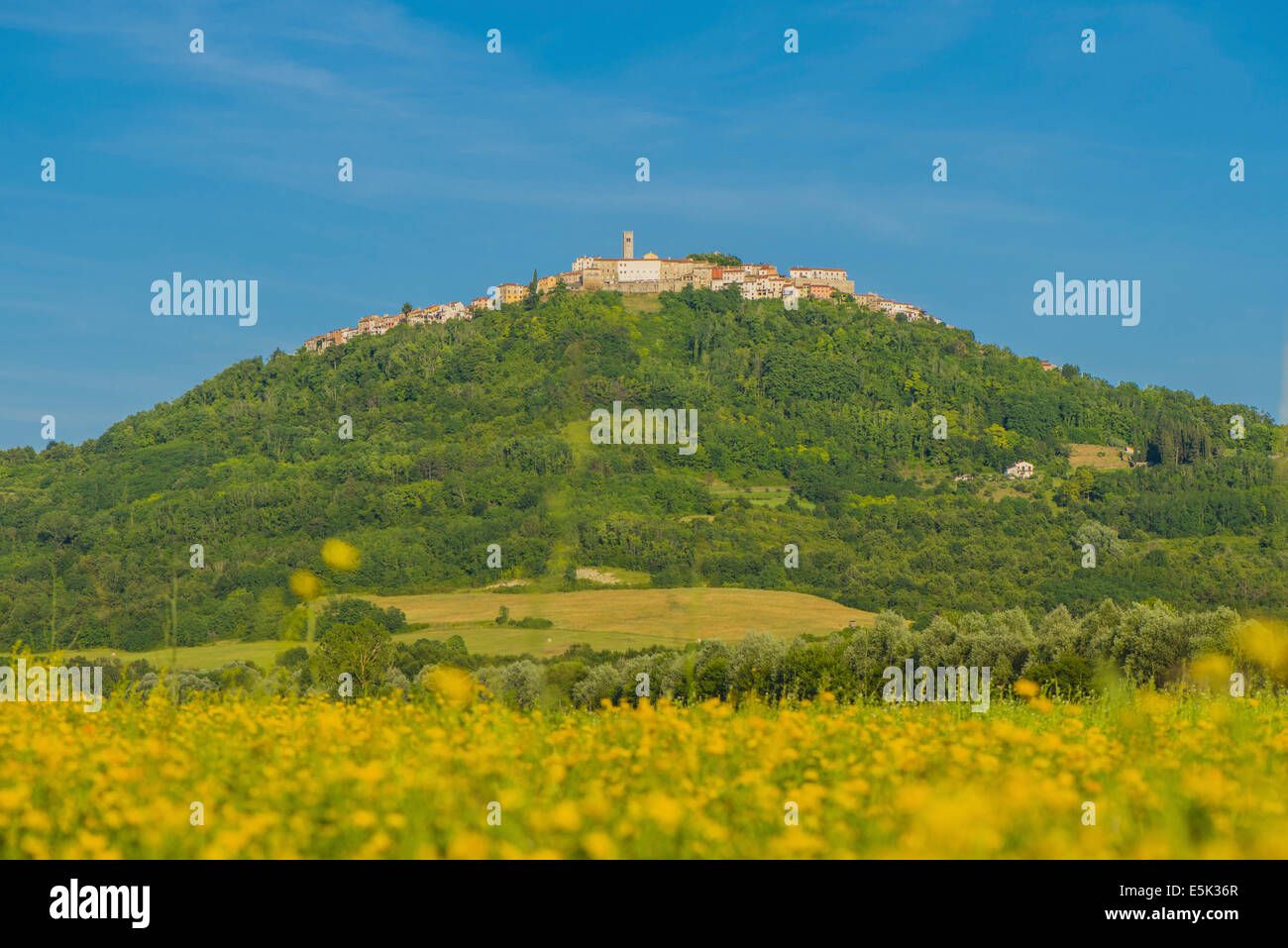 Montona d'Istria Istria Croazia Foto Stock