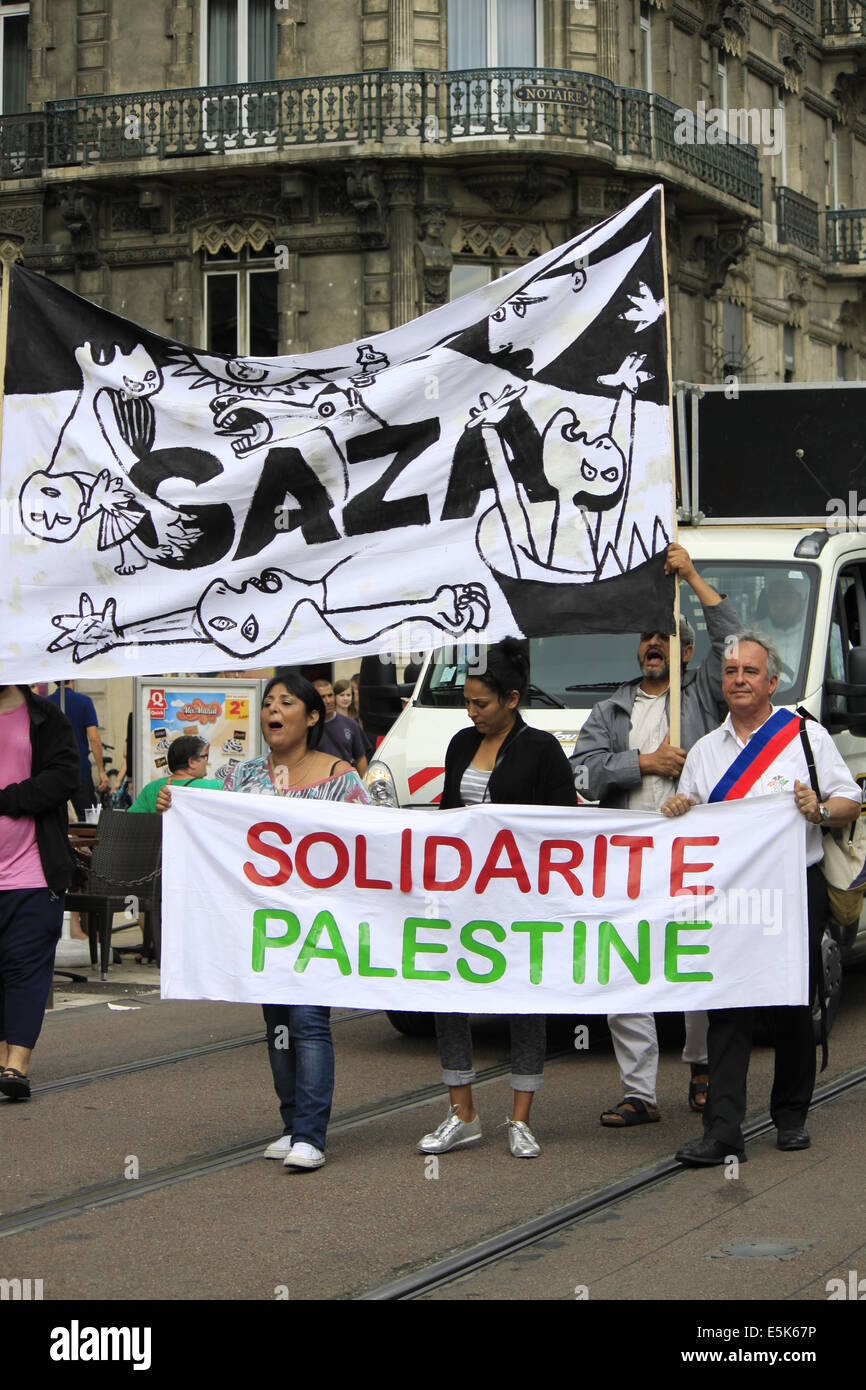 Grenoble, Francia. 02Aug, 2014. Pro-Palestinian manifestazione contro Israele dell operazione militare a Gaza. Grenoble il 2 agosto. Grenoble, Francia - 08/02/2014 Credit: Thibaut/Alamy Live News Foto Stock