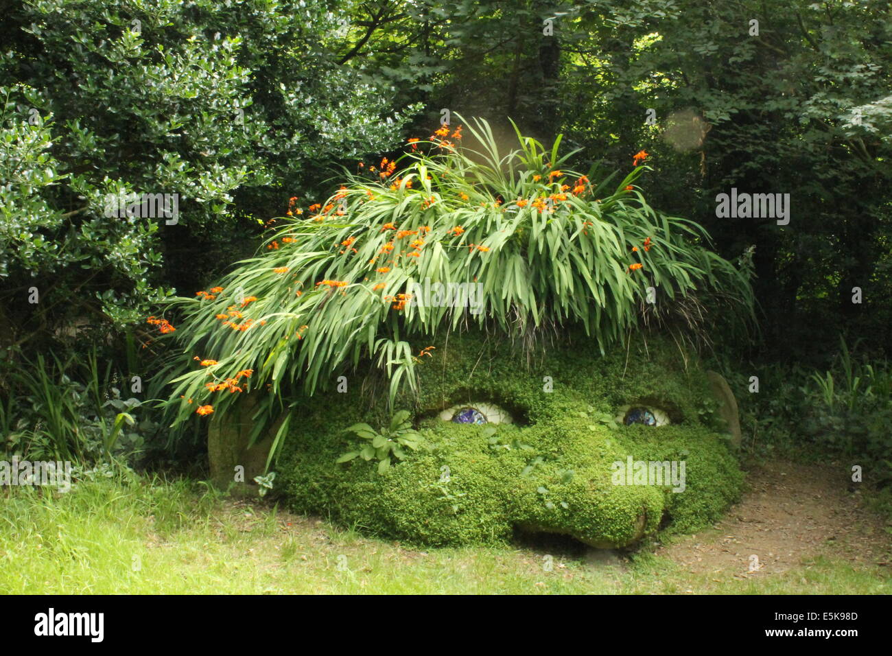 Gigante di testa della scultura di bosco nel bosco giardino alla Lost Gardens of Heligan, Cornwall, Regno Unito Foto Stock