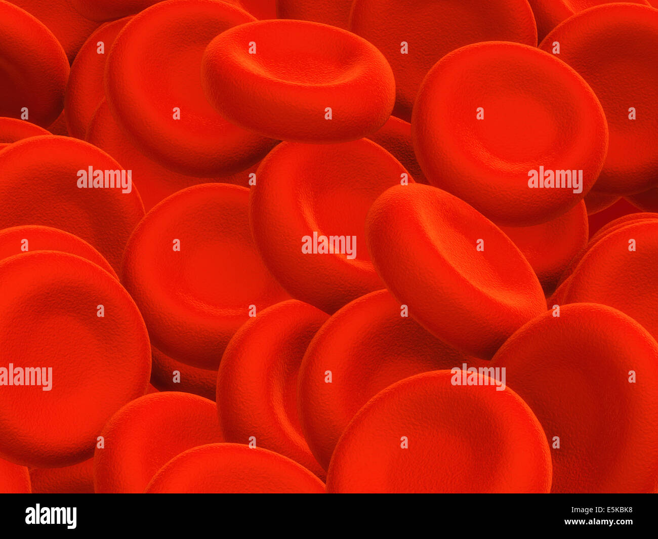 Illustrazione di cellule del sangue umano - 3D render Foto Stock