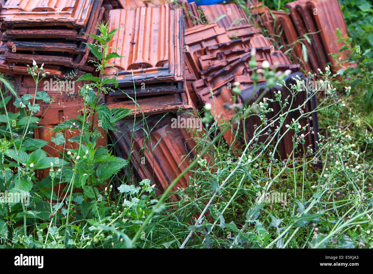 Cose decadimento nel tempo Foto Stock