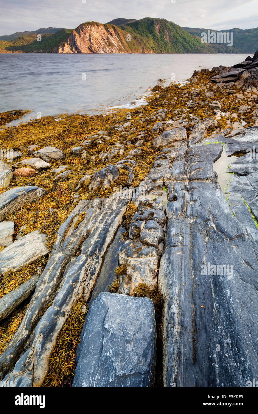 Gros Morne, Terranova, Canada Foto Stock