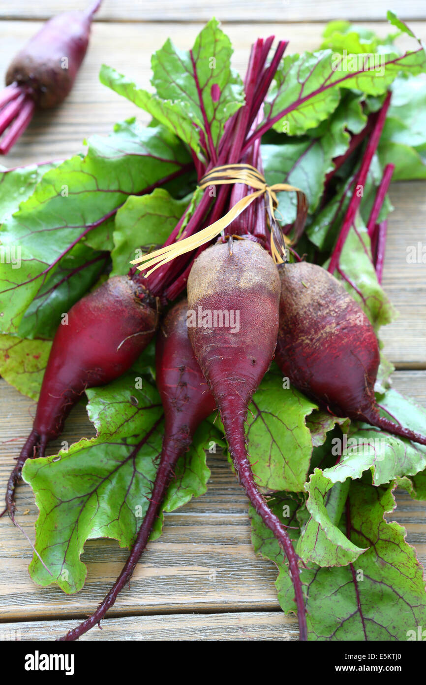 Grappolo di barbabietole fresche con foglie, cibo closeup Foto Stock