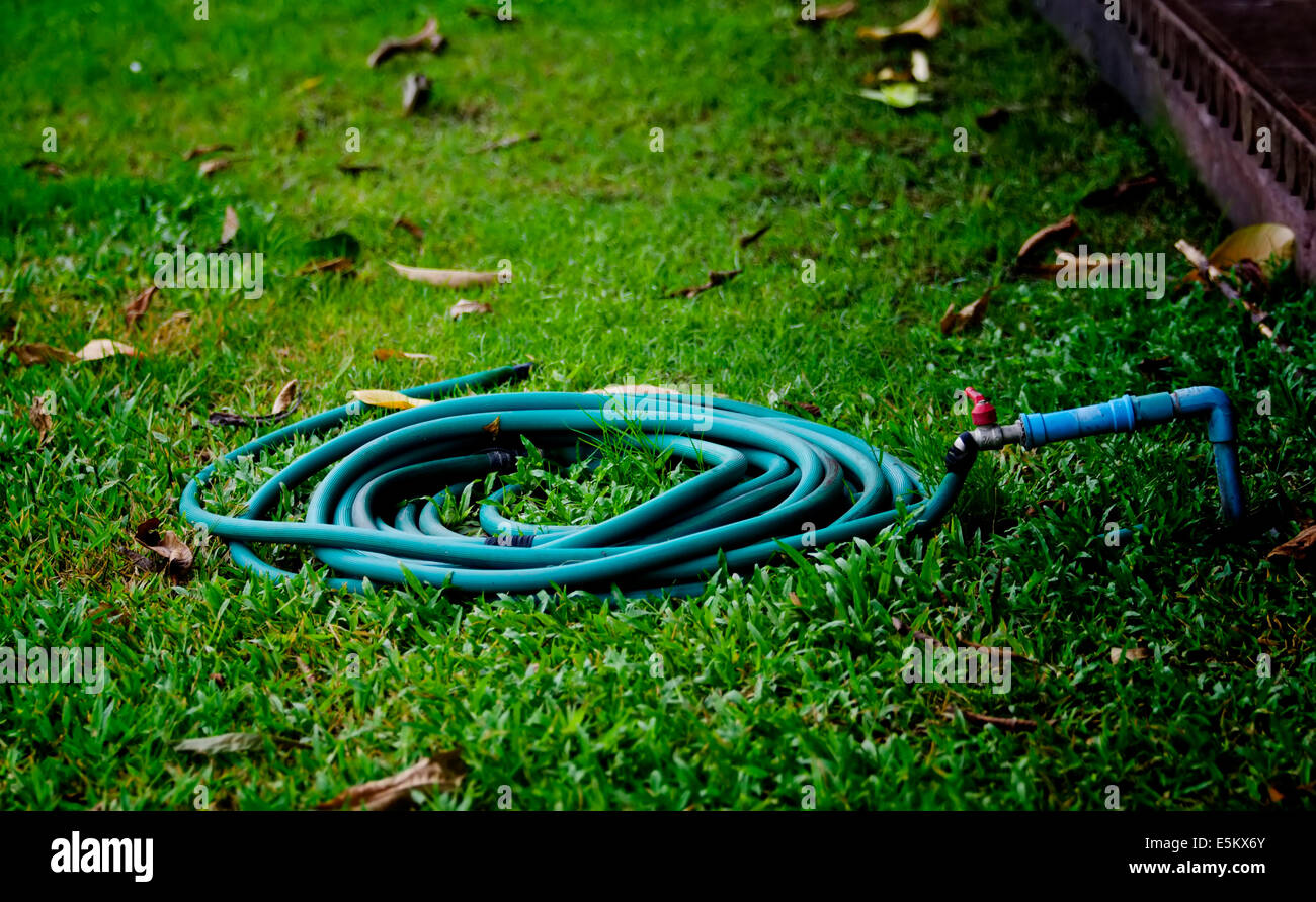 Rubinetto di acqua con tubo di gomma sul parco Foto Stock