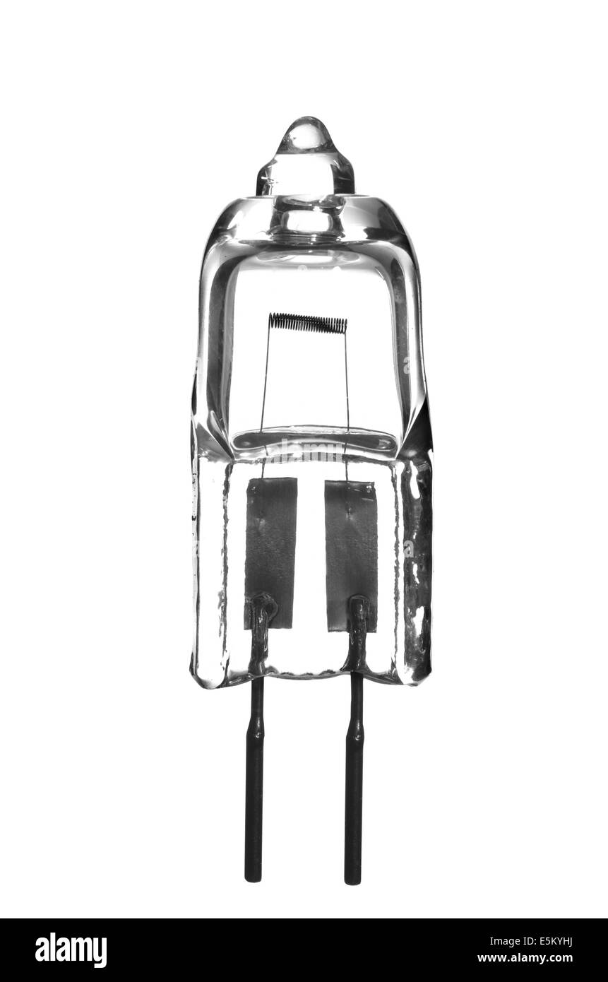 Lampadina alogena su sfondo bianco Foto Stock